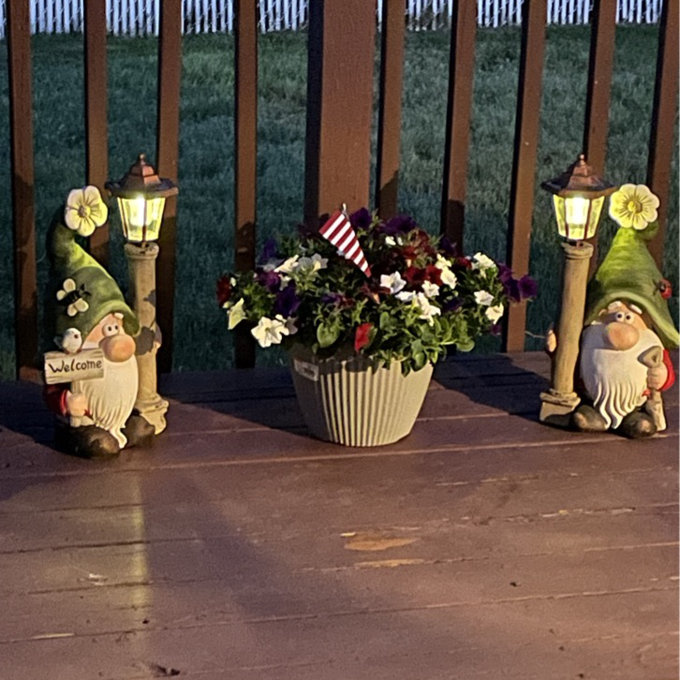 Trinx 2 Piece Garden Gnomes with Solar Lights Shortstack and